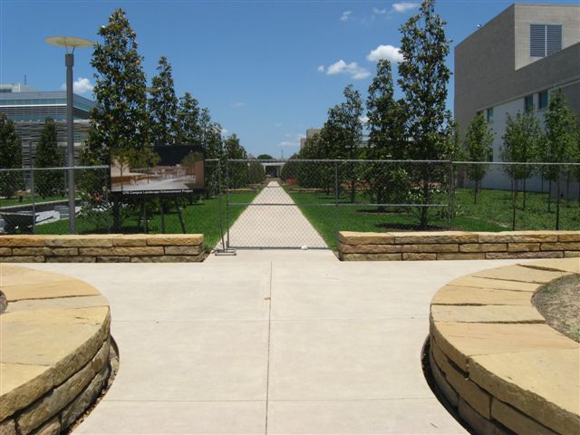 UTD Landscape Enhancement